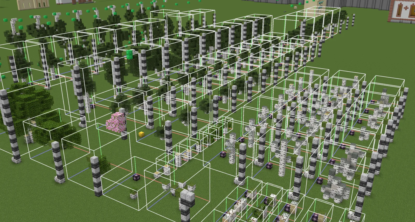 birch tree asset development